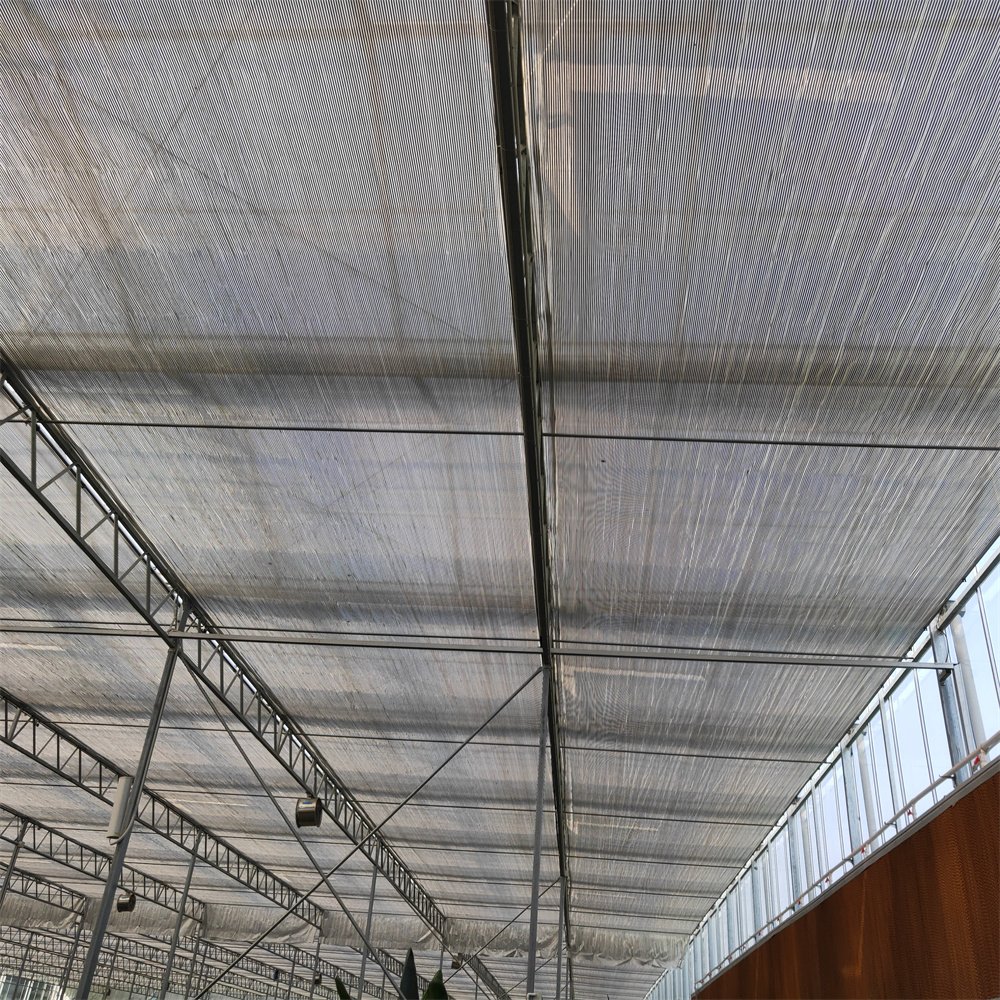 Galvanized Steel Frame Agricultural Greenhouse Vertical Farming Multi Span Venlo Glass Greenhouse For Sale