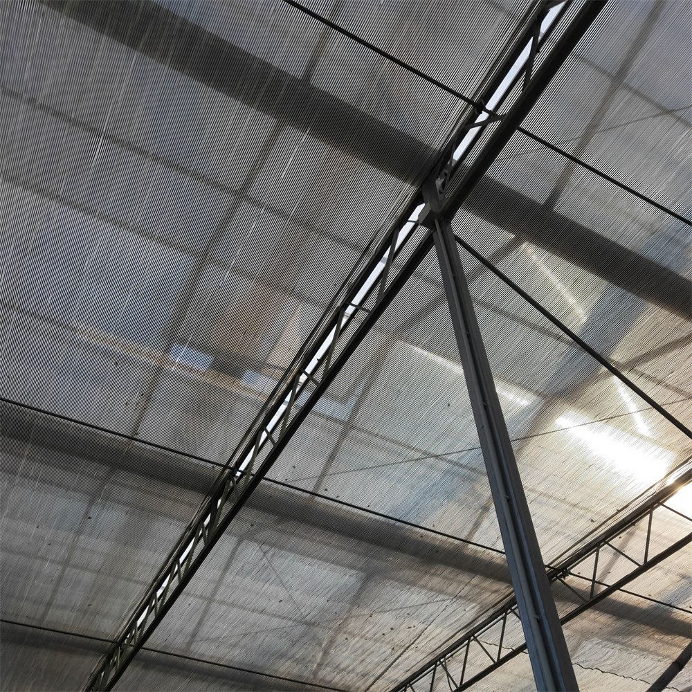 Galvanized Steel Frame Agricultural Greenhouse Vertical Farming Multi Span Venlo Glass Greenhouse For Sale