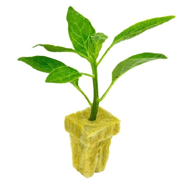 Eco-friendly Seedling Cultivation Sponge Agricultural Greenhouse Hydroponic Vegetables Undamaged Roots Foam Planting Sponge