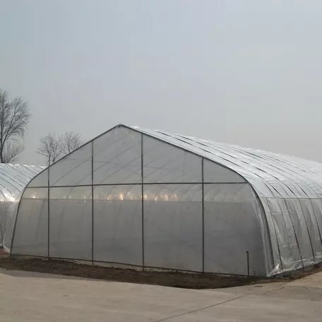 Agriculture Single-span Greenhouse Covering PO Film Plastic Film Planters Large Outdoor Large Pvc Plastic Drain Pipe Large Farme