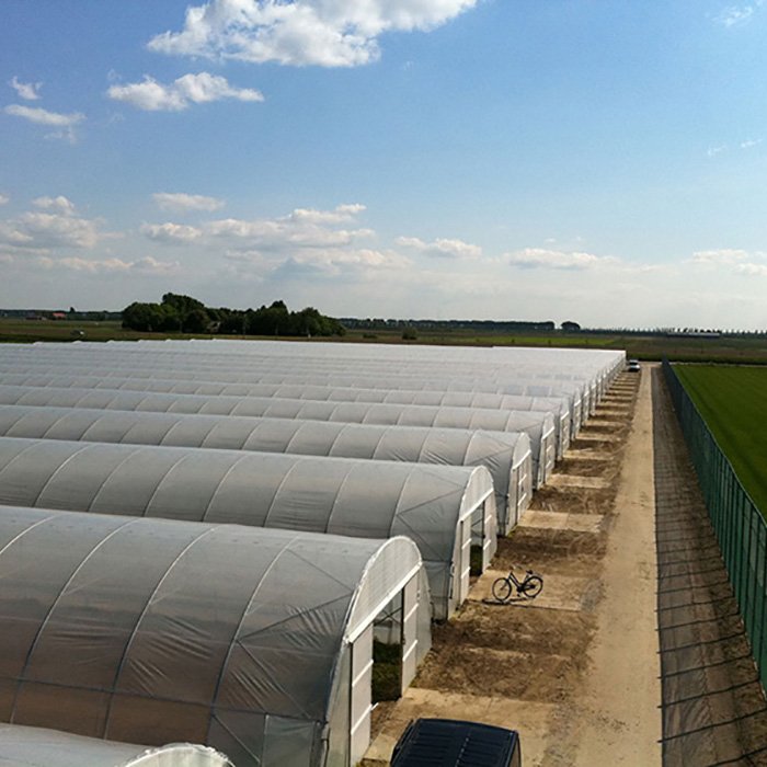 Agriculture Single-span Greenhouse Covering PO Film Plastic Film Planters Large Outdoor Large Pvc Plastic Drain Pipe Large Farme