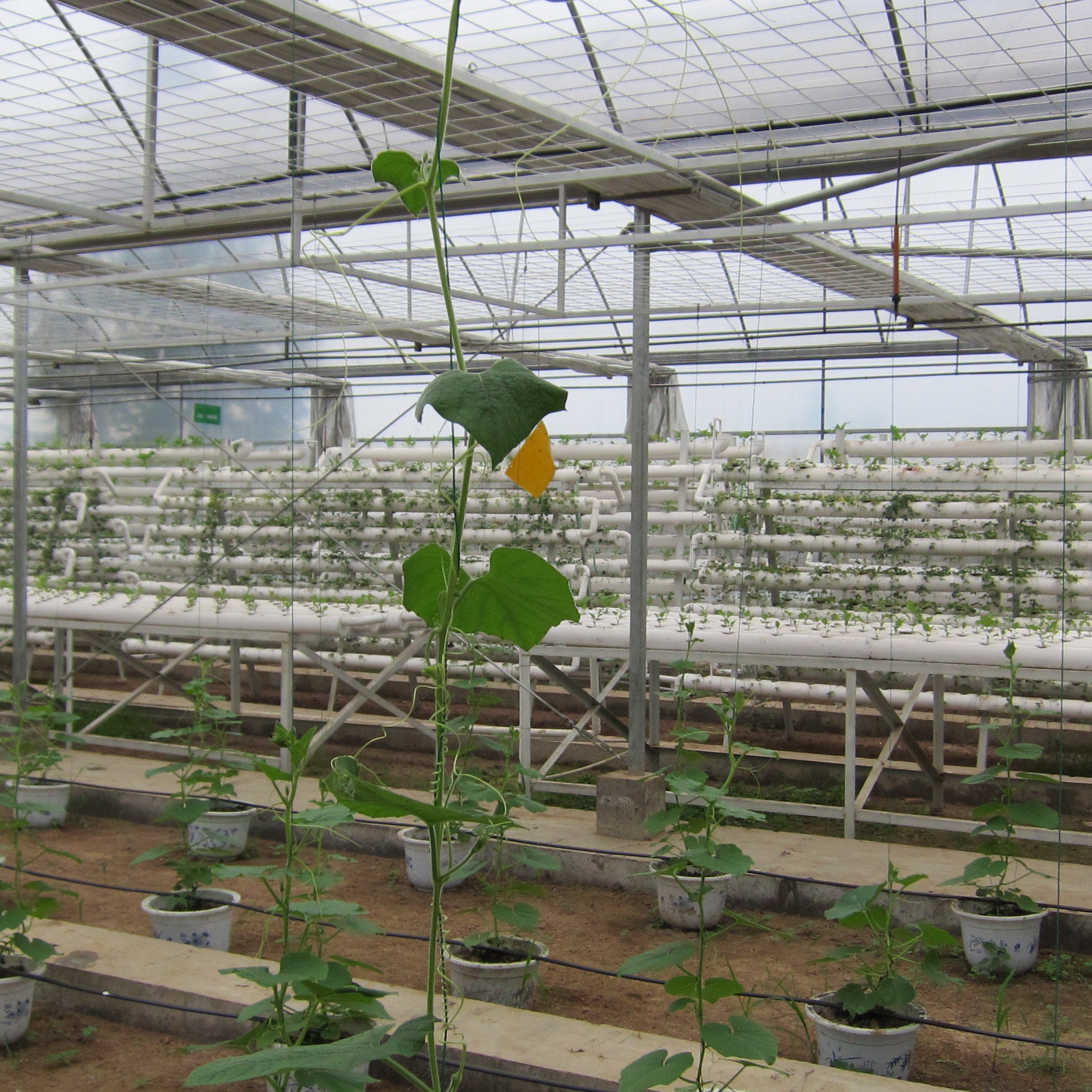 Agriculture Single-span Greenhouse Covering PO Film Plastic Film Planters Large Outdoor Large Pvc Plastic Drain Pipe Large Farme