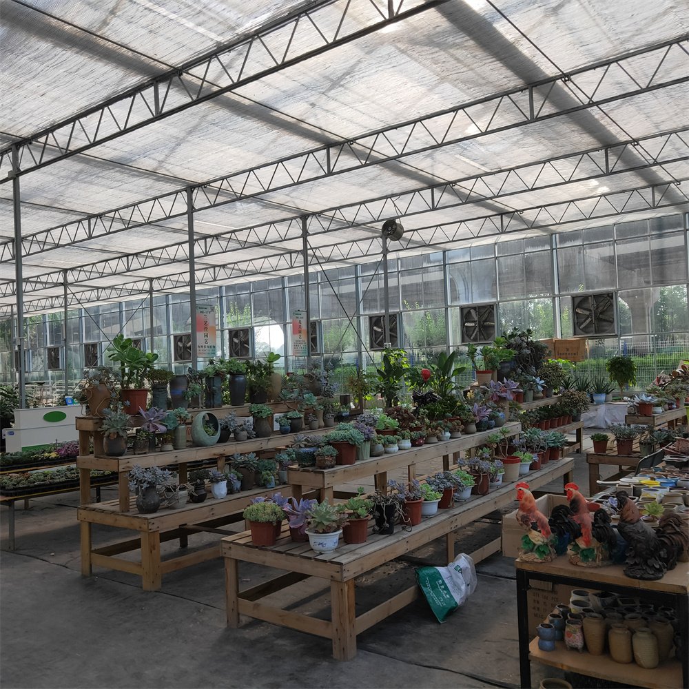 Hydroponic Greenhouse Venlo Tempered Cooling System Shade Net Agriculture Multi-span Glass Greenhouse