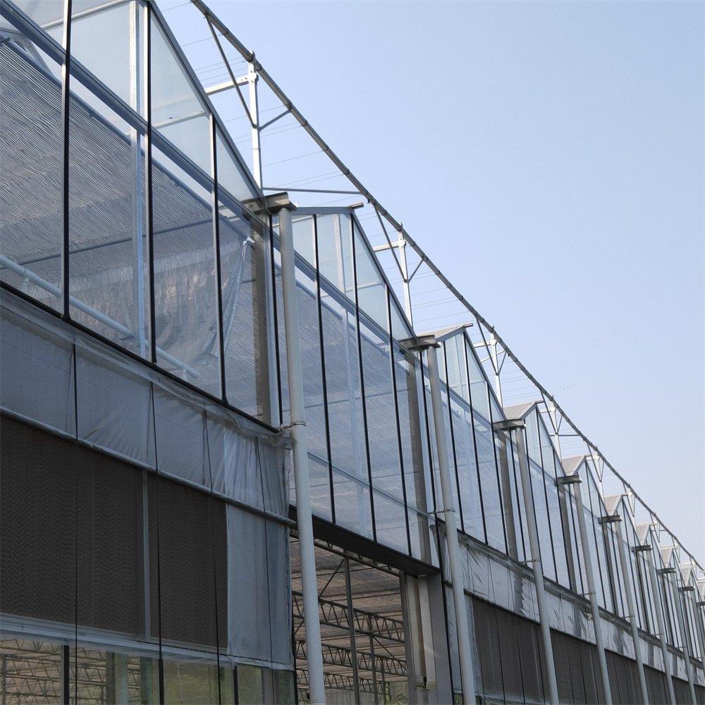 Hydroponic Greenhouse Venlo Tempered Cooling System Shade Net Agriculture Multi-span Glass Greenhouse