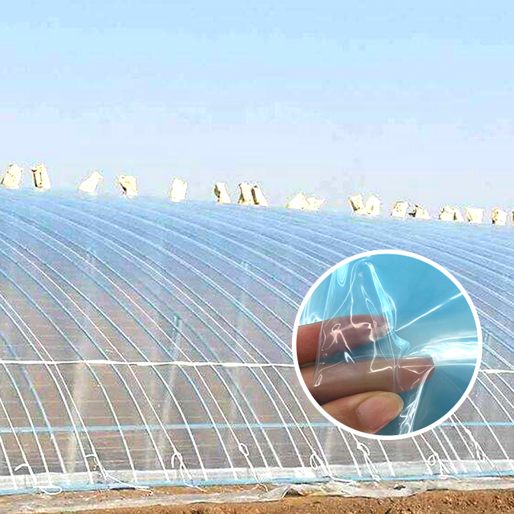 PE Green House Film agricultural greenhouse Covering With Cheap Price