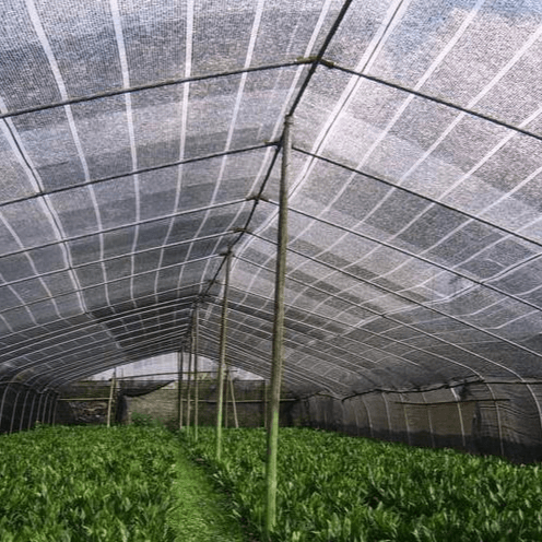 Custom Made Lightweight Durable Shade Anti-UV Sun Protection Shade Net Agriculture Greenhouse Shade Net