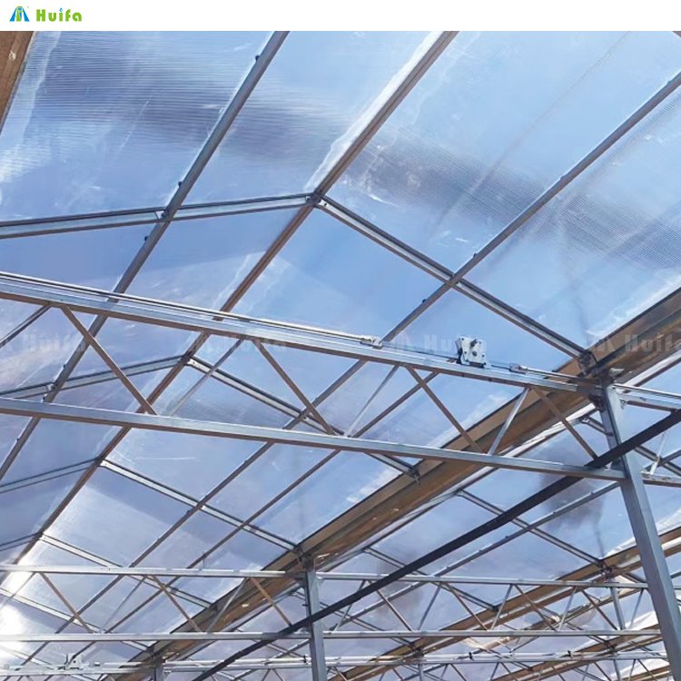 Hydroponic Greenhouse Systems For Agricultural Greenhouse Hot Sale Multi-Span Greenhouse With Growing Systems Complete Kit
