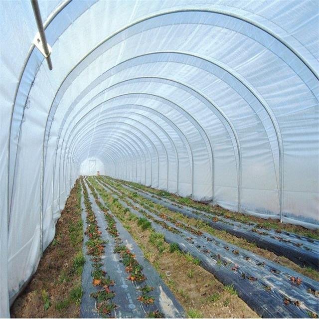 ONE-one low tunnel vegetable green house serre agricole agricultural greenhouse