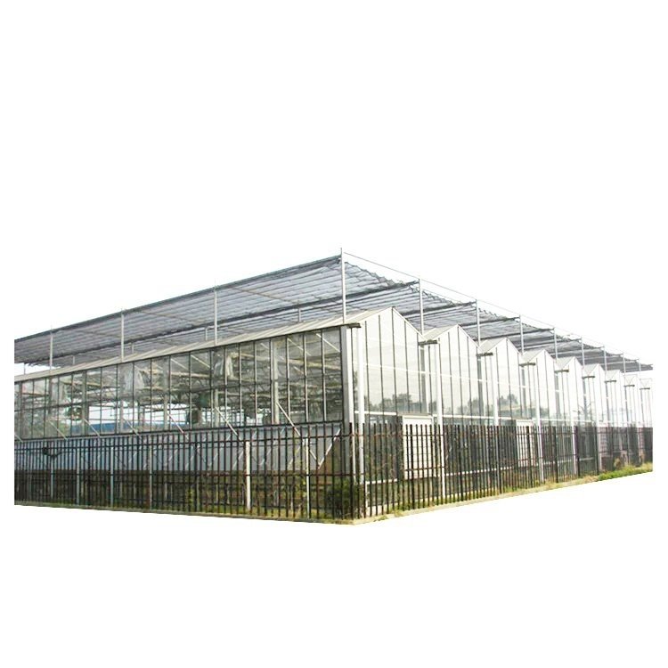 Venlo Polycarbonate Farming Green House Multi-Span Commercial PC Sheet Greenhouses Prefab Greenhouse