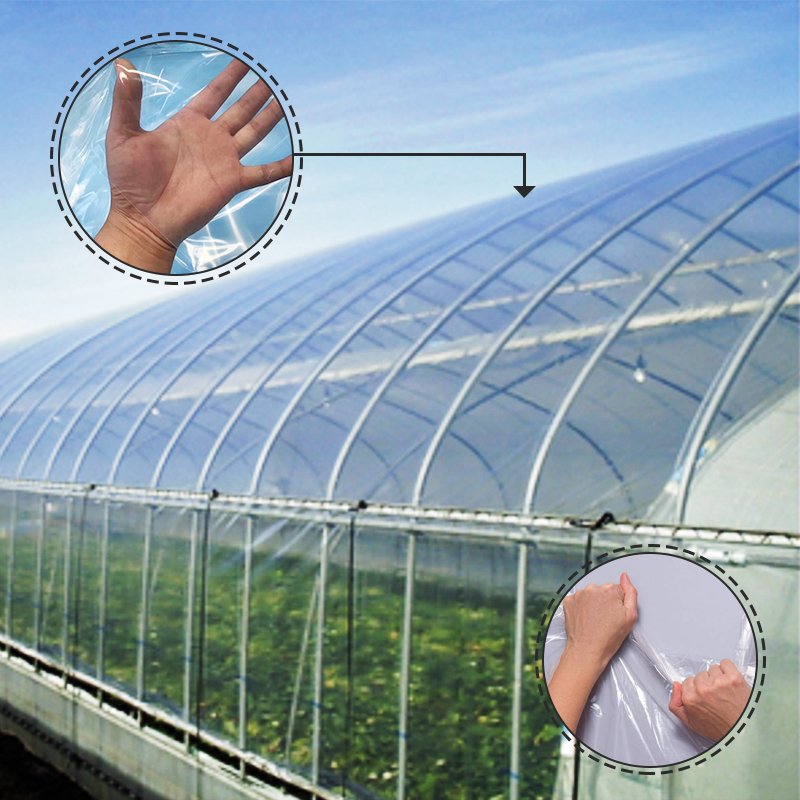 High quality UV treated agricultural greenhouse film/ greenhouse cover/ plastic for greenhouse