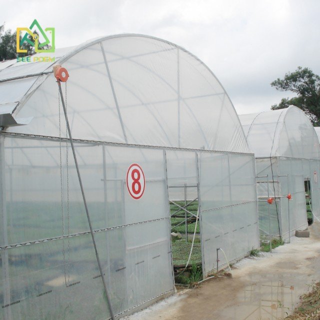 Greenhouse Vertical Hydroponic Strawberry Growing System Agricultural Greenhouse