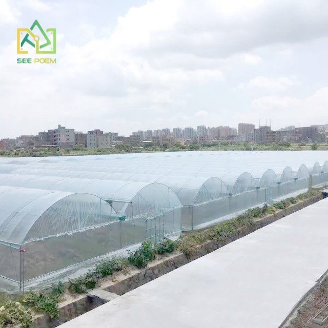 Greenhouse Vertical Hydroponic Strawberry Growing System Agricultural Greenhouse