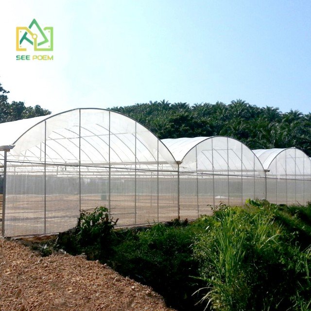 Greenhouse Vertical Hydroponic Strawberry Growing System Agricultural Greenhouse