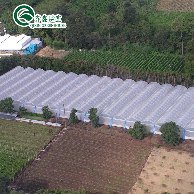High Quality Indoor Complete Hydroponic Grow Systems Grow Tent
