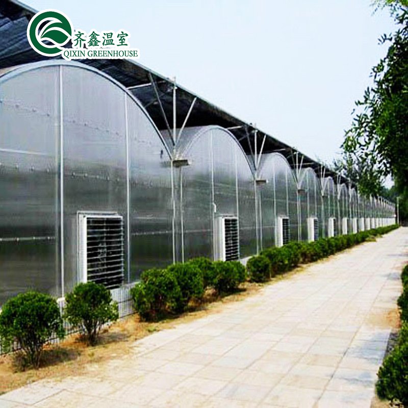 High Quality Indoor Complete Hydroponic Grow Systems Grow Tent