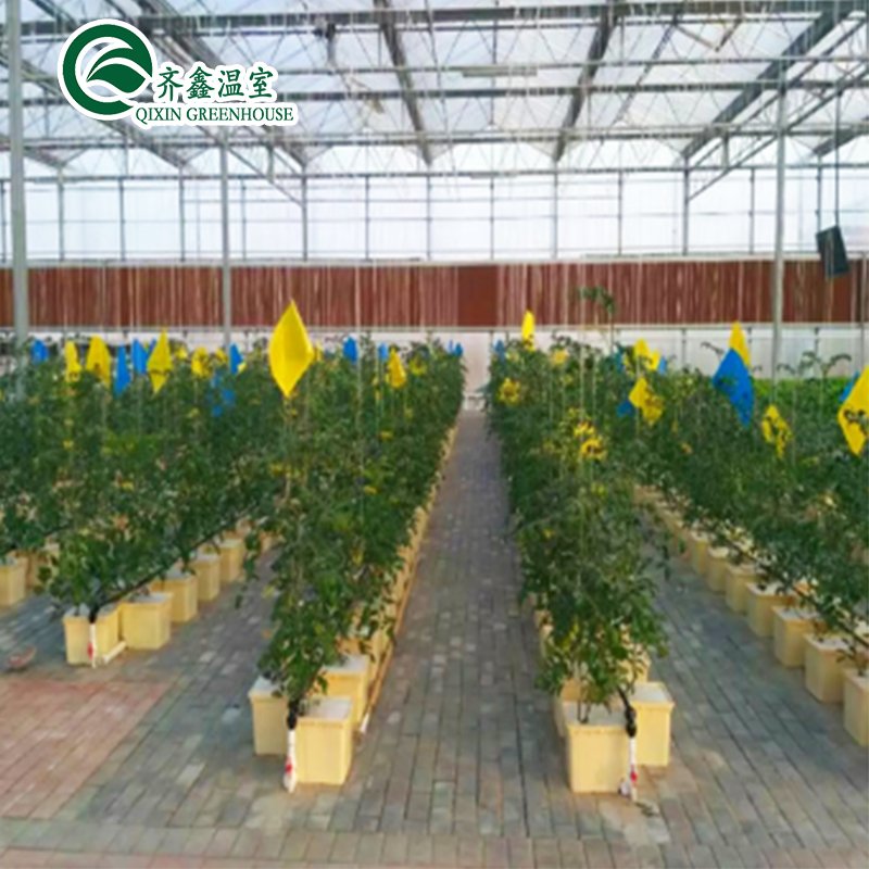 High Quality Indoor Complete Hydroponic Grow Systems Grow Tent