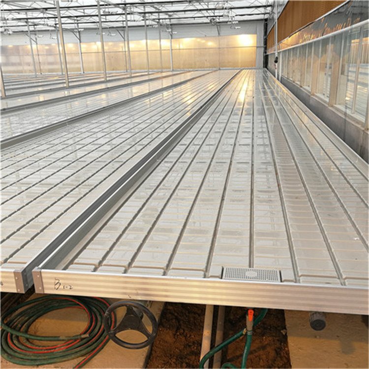 Agricultural Greenhouse Hydroponics: Flood/Ebb Tables, Vertical Racks, ABS Trays.