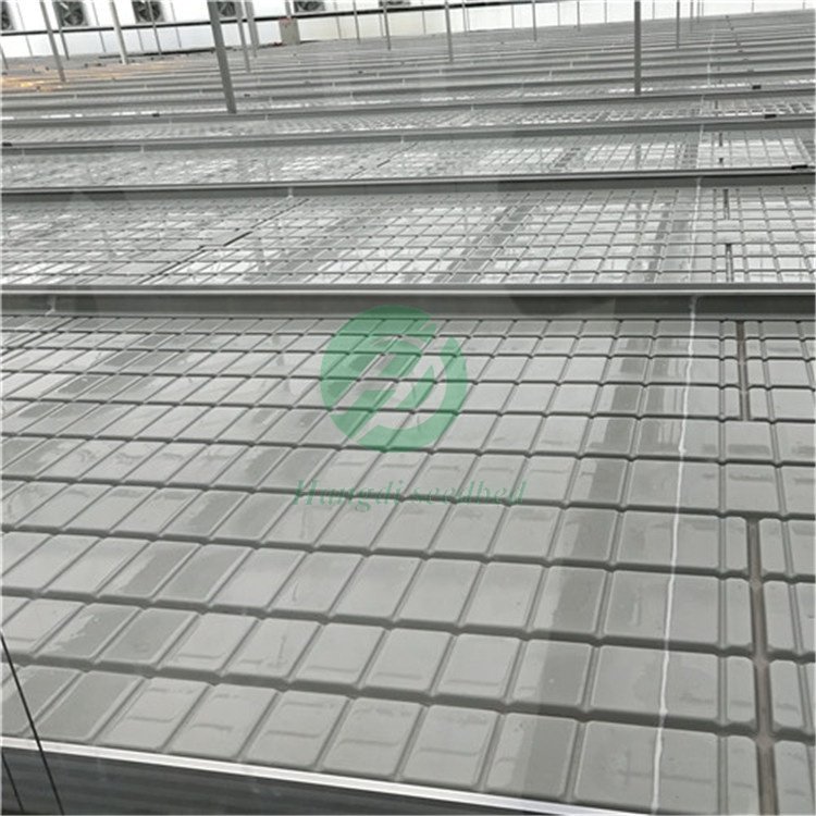 Agricultural Greenhouse Hydroponics: Flood/Ebb Tables, Vertical Racks, ABS Trays.