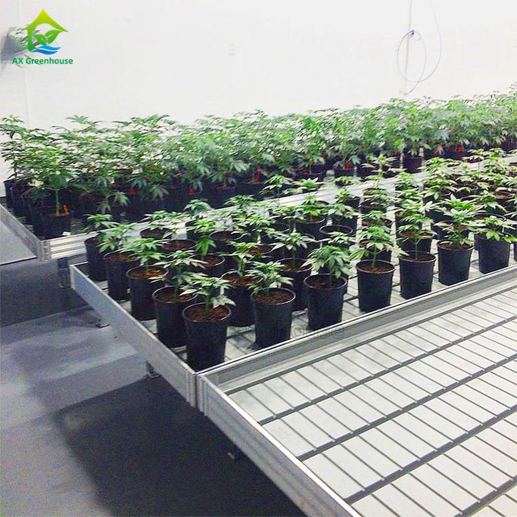 Wholesale Price Custom Agricultural Movable Ebb Flow Nursery Rolling Bench Grow Table For Greenhouse