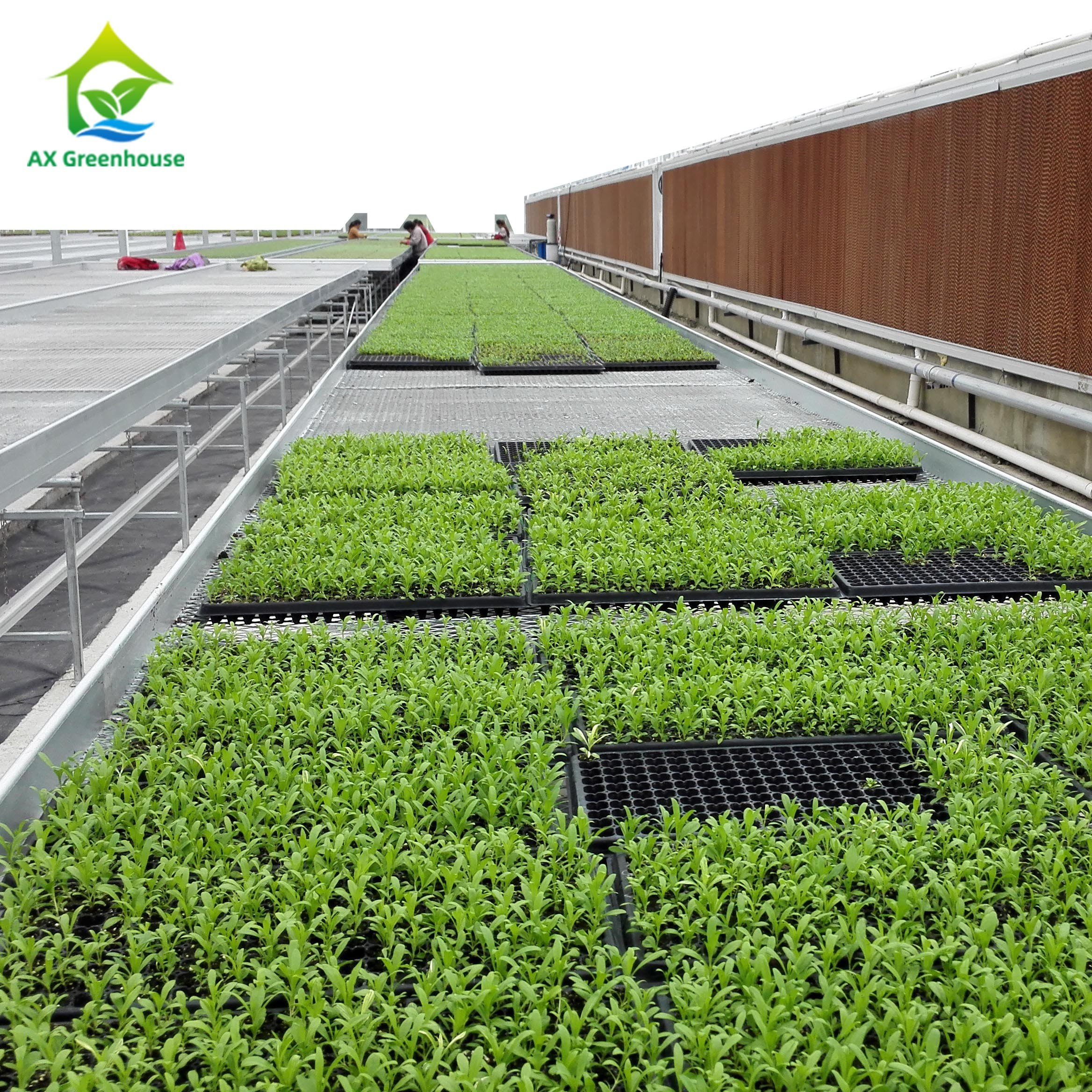 Wholesale Price Custom Agricultural Movable Ebb Flow Nursery Rolling Bench Grow Table For Greenhouse