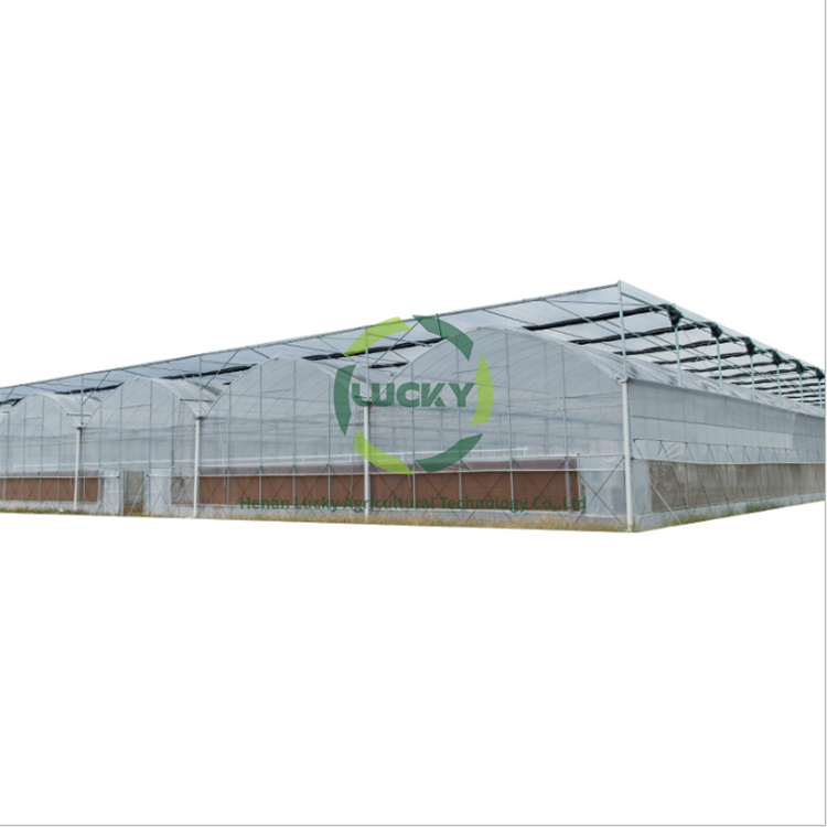Pe Film Poly Tunnel Berry Ebb And Flow Table Green Houses Agriculture Commercial Greenhouse For Flowers Plant