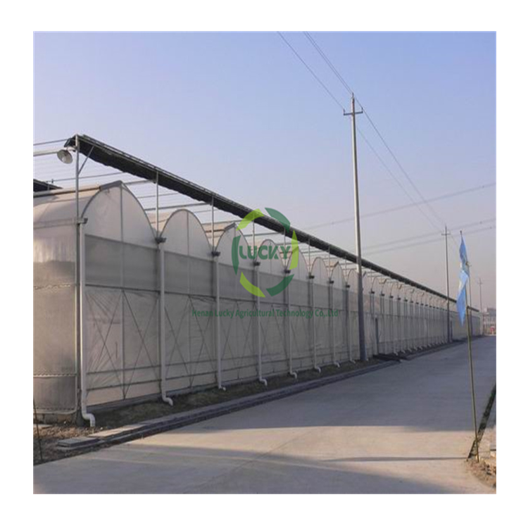 Pe Film Poly Tunnel Berry Ebb And Flow Table Green Houses Agriculture Commercial Greenhouse For Flowers Plant
