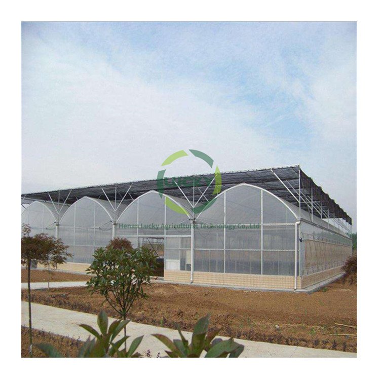 Pe Film Poly Tunnel Berry Ebb And Flow Table Green Houses Agriculture Commercial Greenhouse For Flowers Plant
