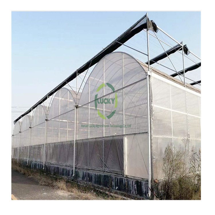 Pe Film Poly Tunnel Berry Ebb And Flow Table Green Houses Agriculture Commercial Greenhouse For Flowers Plant