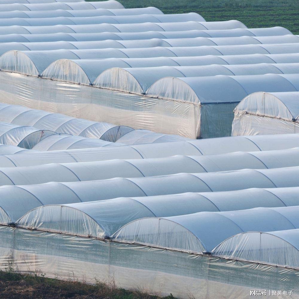 Hot Sale Agricultural Greenhouse Film for garden or farm