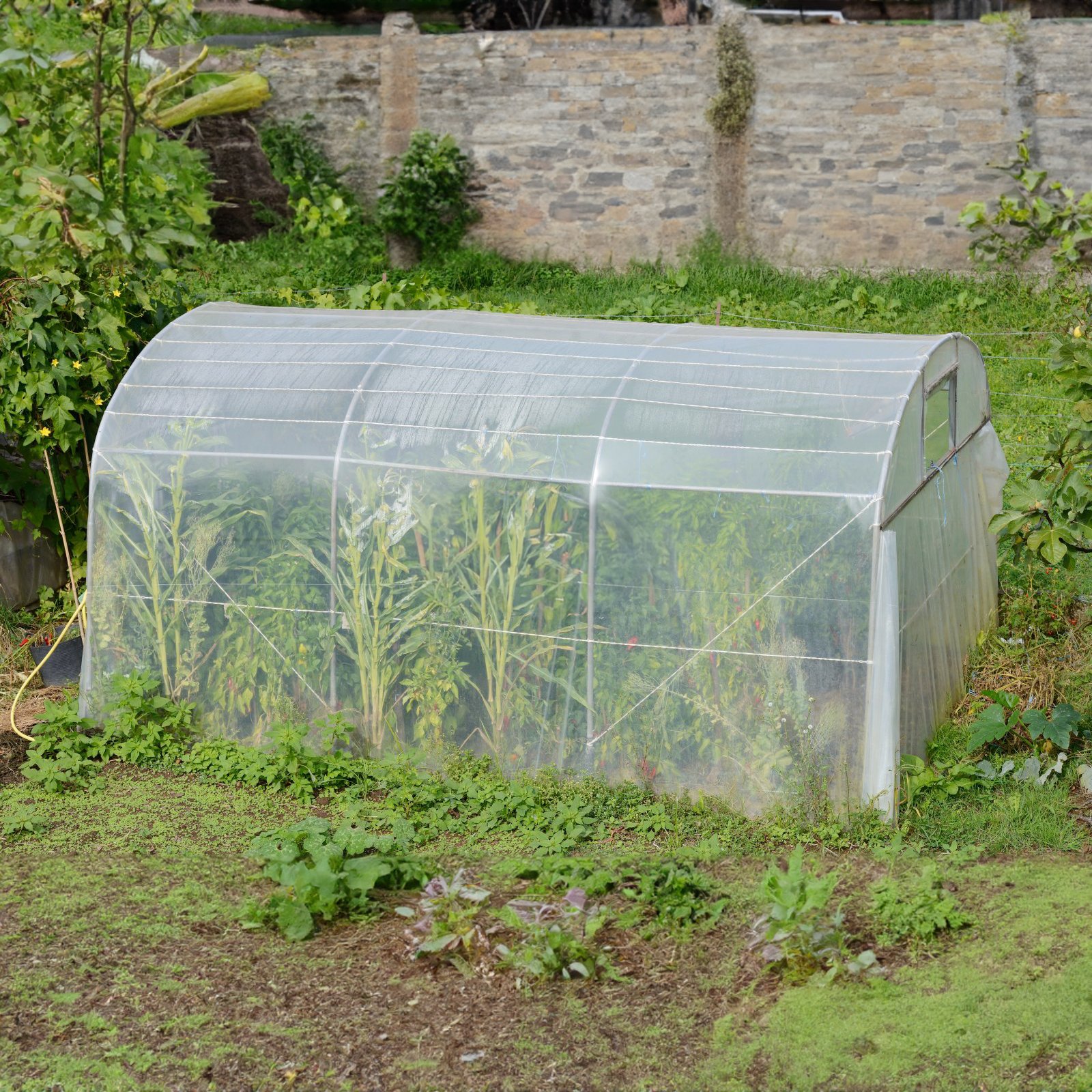Hot Sale Agricultural Greenhouse Film for garden or farm