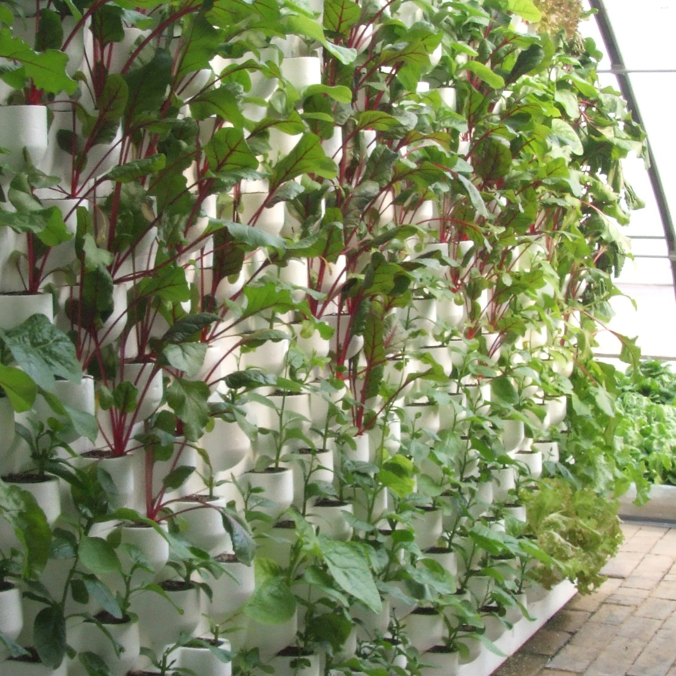 Multi-span Greenhouses Agriculture Glass Large Hydroponics Grow System Large Plastic Plant Trays Hot-dip Galvanized Steel