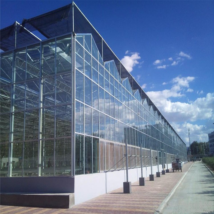 Multi-span Greenhouses Agriculture Glass Large Hydroponics Grow System Large Plastic Plant Trays Hot-dip Galvanized Steel