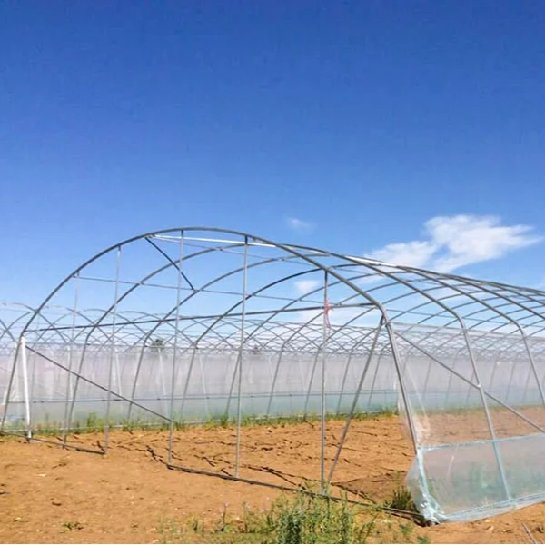 Single Span Steel 300 square meters green house metal frame Plastic Film Tunnel Vegetable Seeds Tomato Greenhouse Agricultural G