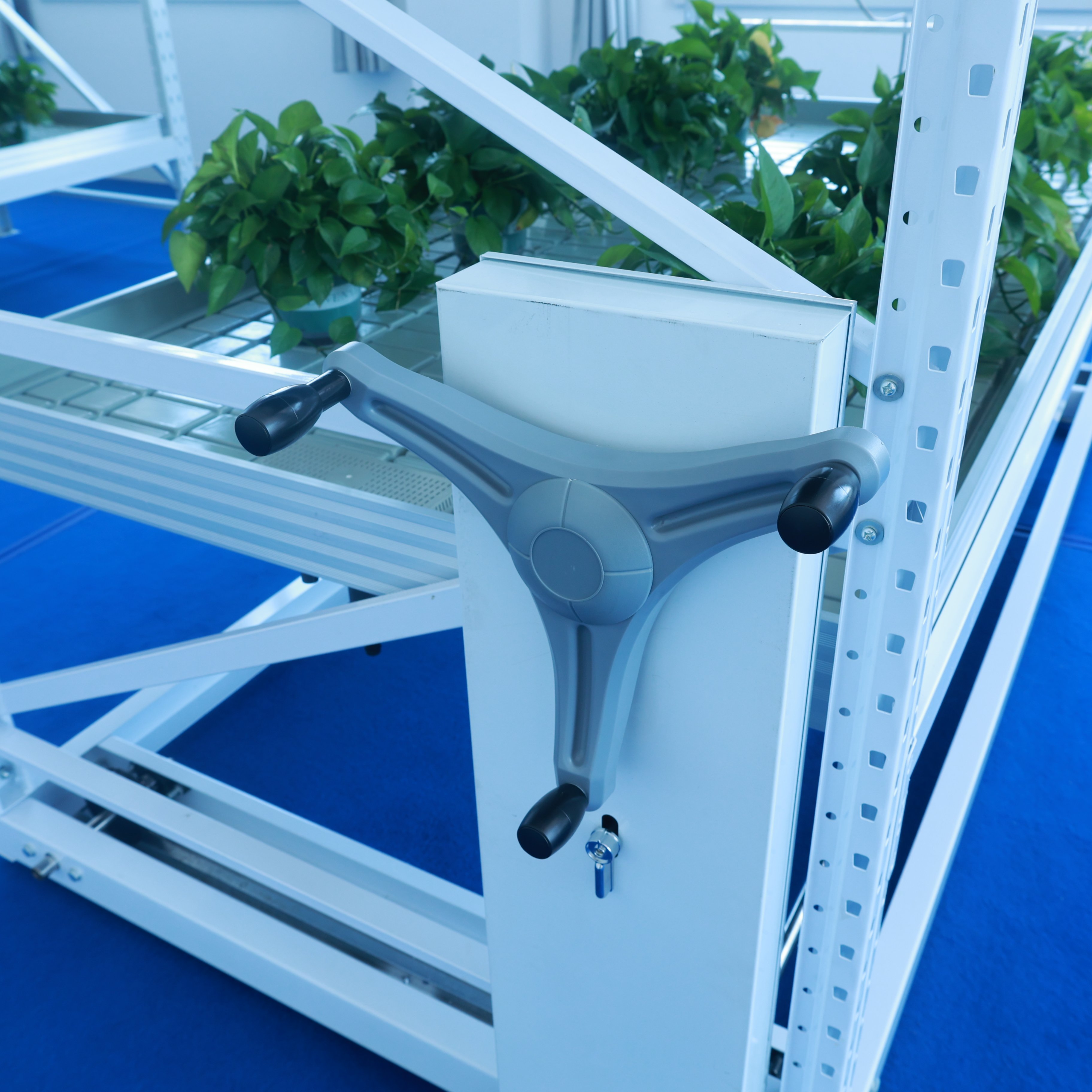 Plastic Film Greenhouse Agricultural Greenhouses Vertical Farm Hydroponic Tower Greenhouse Seedbed