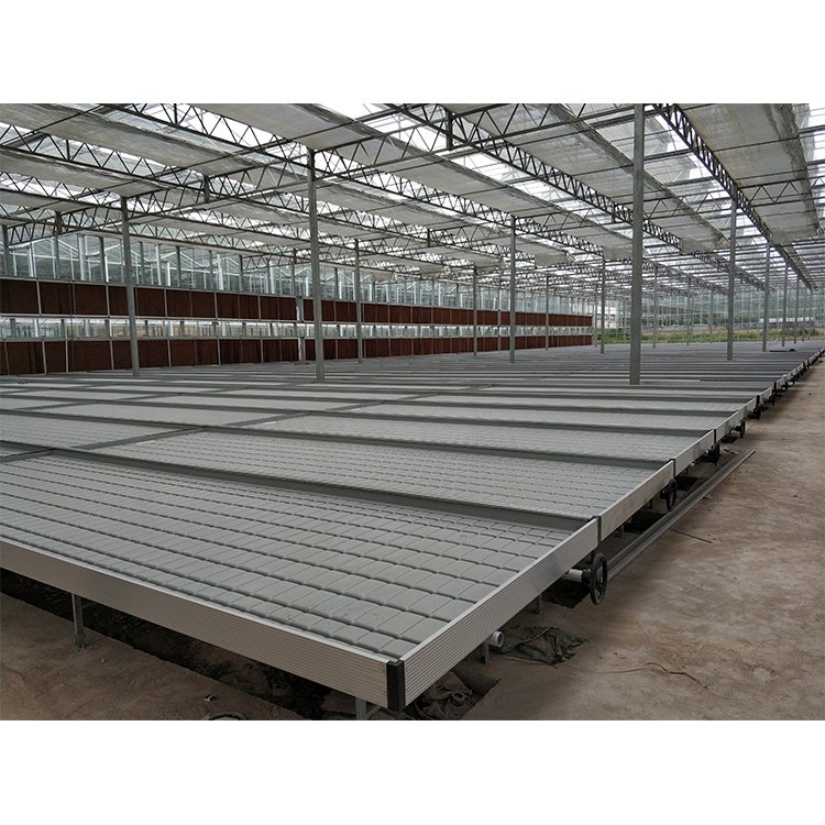 Hydroponics Equipment for Large Greenhouse Flow Rolling Table Bench ABS Plastic for Agriculture Use