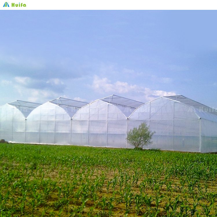 Commercial Green House Agricultural Economic Poly Tunnel Greenhouse Film Plastic Cover For Vegetables Growing