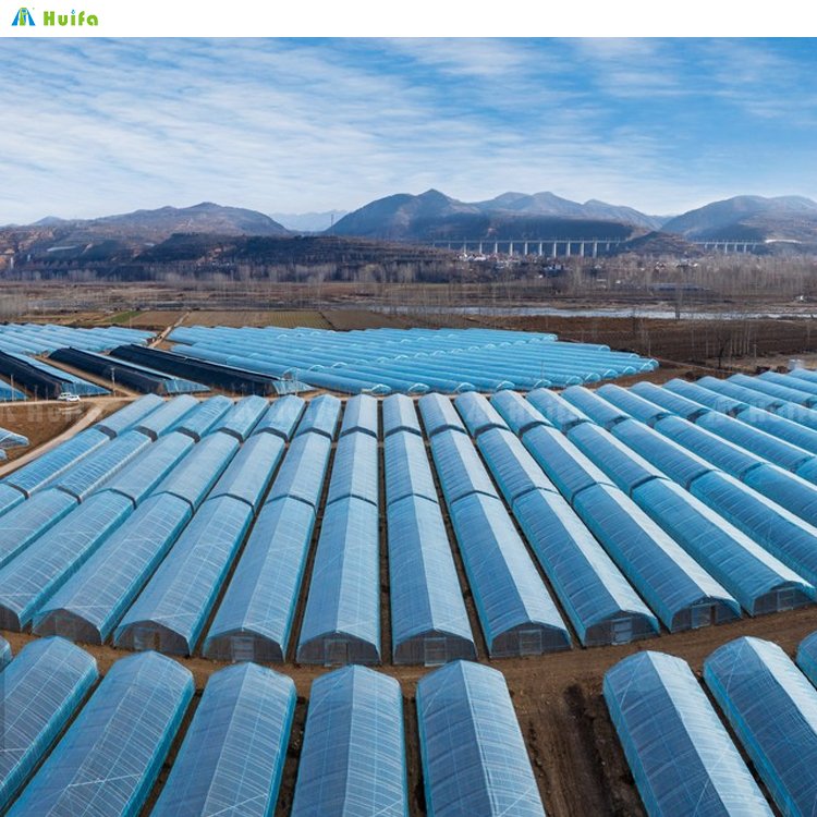 Commercial Green House Agricultural Economic Poly Tunnel Greenhouse Film Plastic Cover For Vegetables Growing