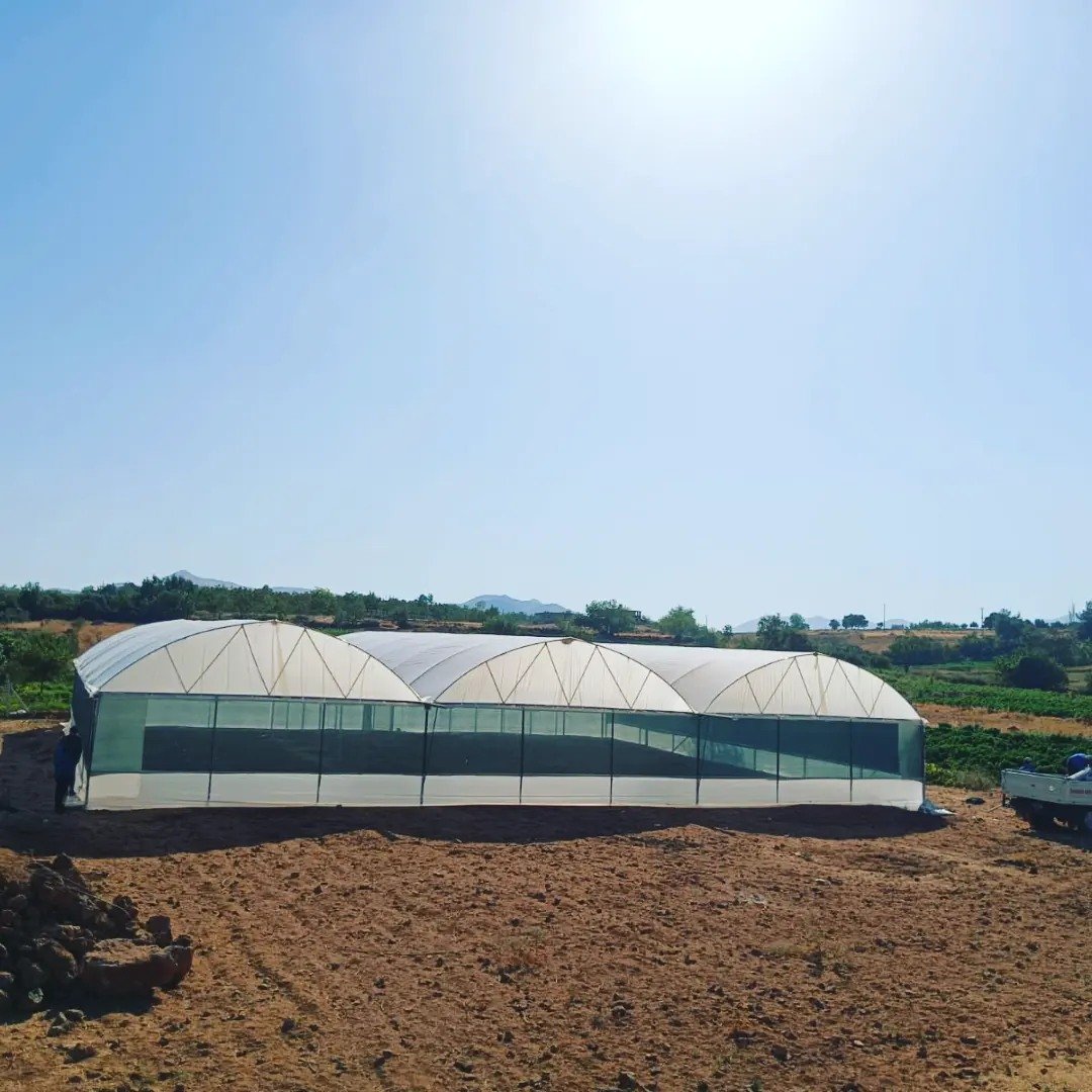 Multi-tunnel walk-in plastic cover greenhouse commercial greenhouse for agricultural