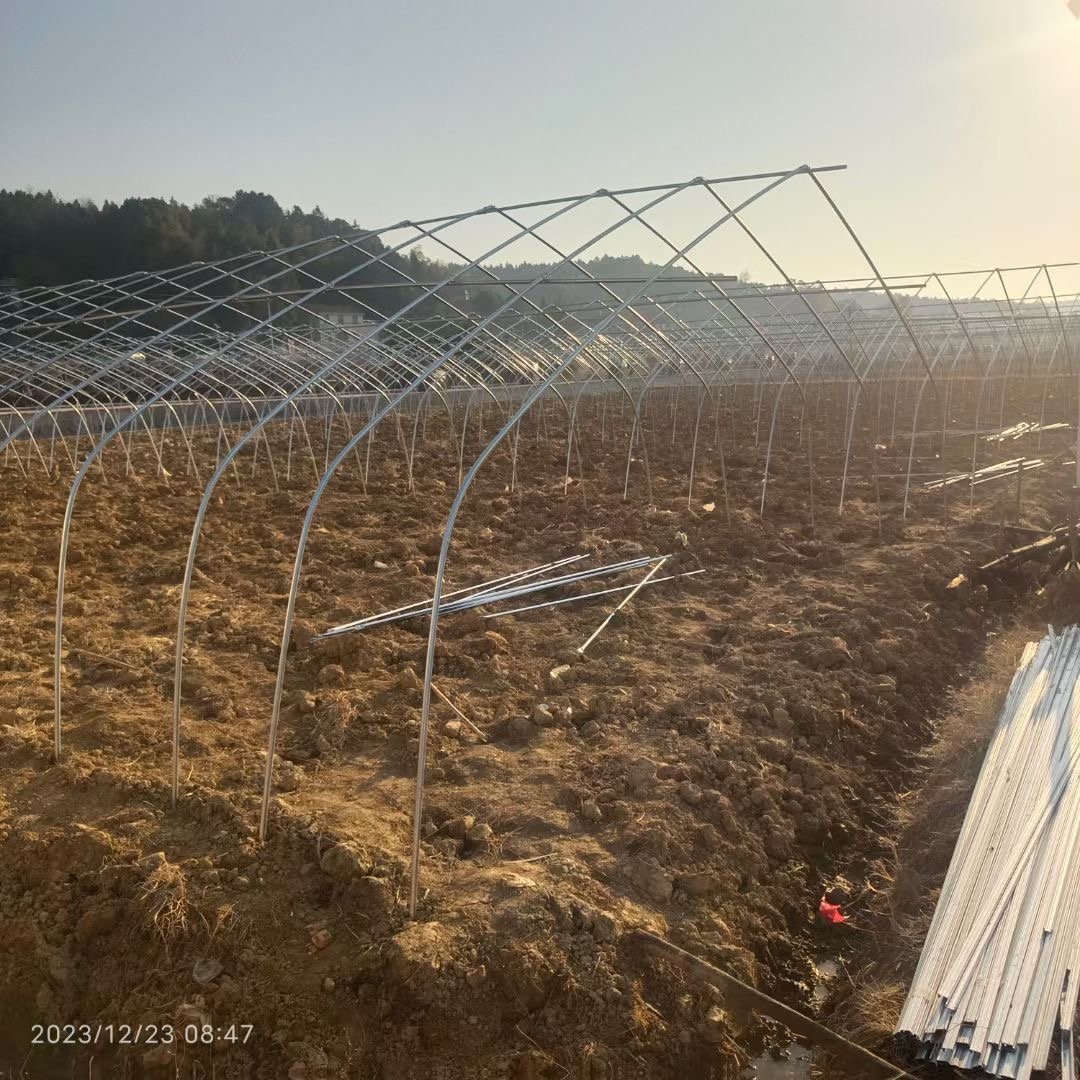 Best Selling Single Span Greenhouse Plastic Shed Tunnel Greenhouse Growing Hydroponic Tomatoes Hot Dipped Galvanized Steel Frame