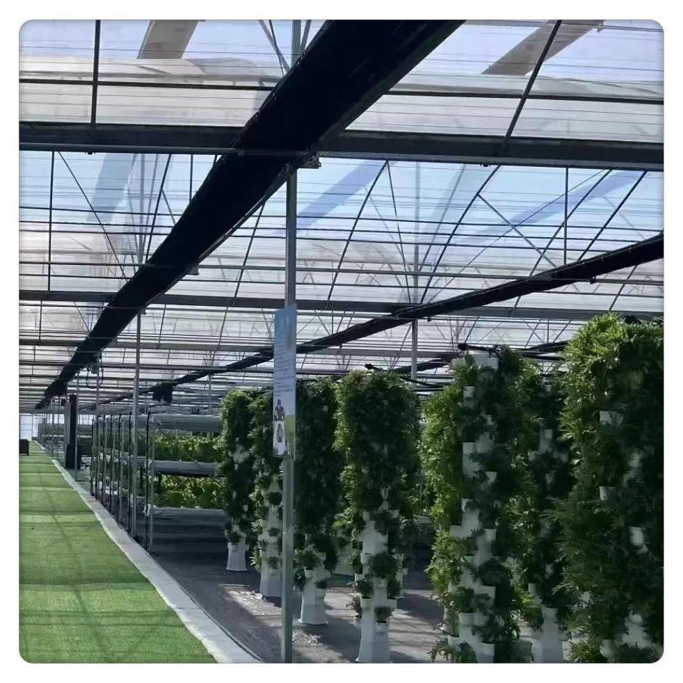 Commercial Agricultural Tunnel Film Plastic Large Size Steel Glass Cover Fresh Vegetable Hydroponics Plant Multi-Span Greenhouse