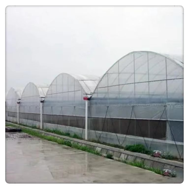 Commercial Agricultural Tunnel Film Plastic Large Size Steel Glass Cover Fresh Vegetable Hydroponics Plant Multi-Span Greenhouse