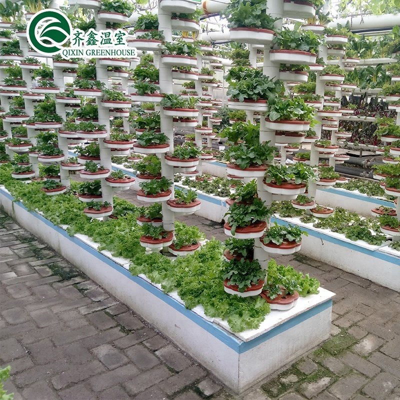 co2 generator for greenhouse