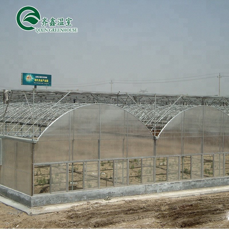 co2 generator for greenhouse
