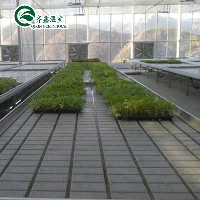 co2 generator for greenhouse