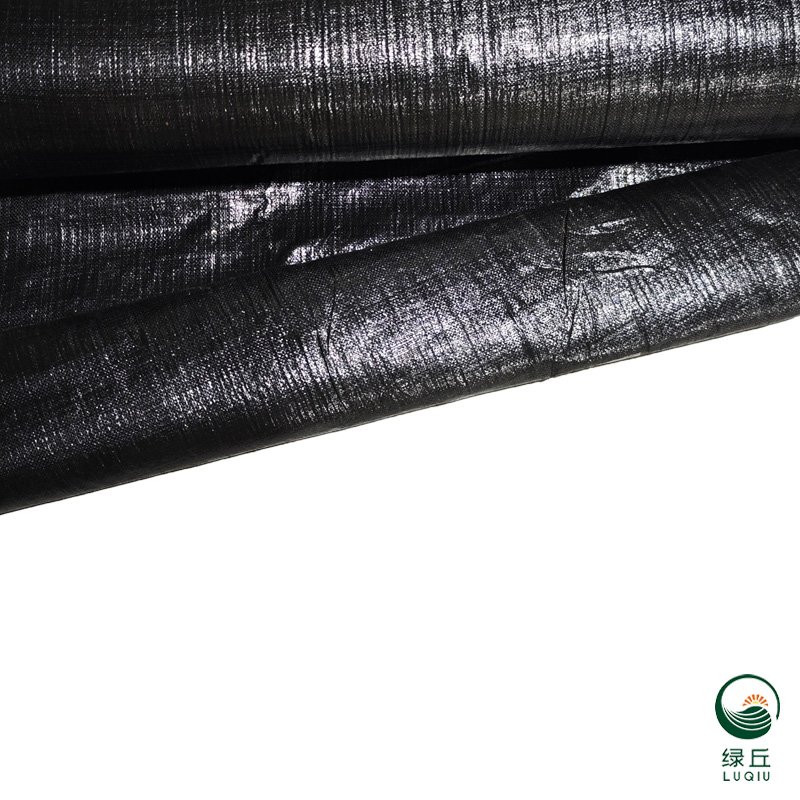 Factory direct PE weeding cloth Agricultural flower anti-grass cloth orchard greenhouses vegetable field anti-grass cloth