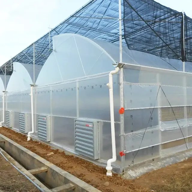 CHOYUEH Agricultural Serrated Greenhouses For Plant Growing Cheap Plastic Ventilation