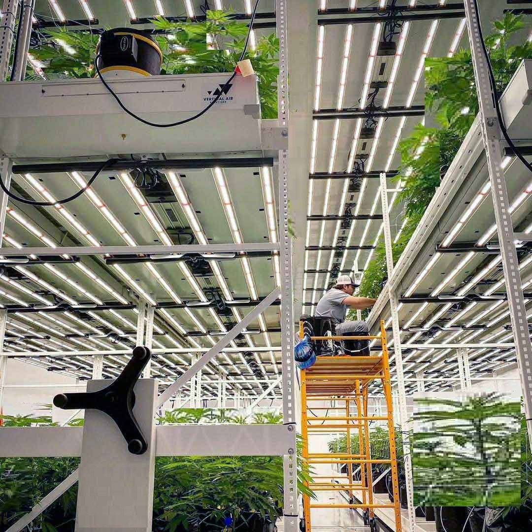 Greenhouse 4x24ft Hydroponic Mobile Grow Rack
