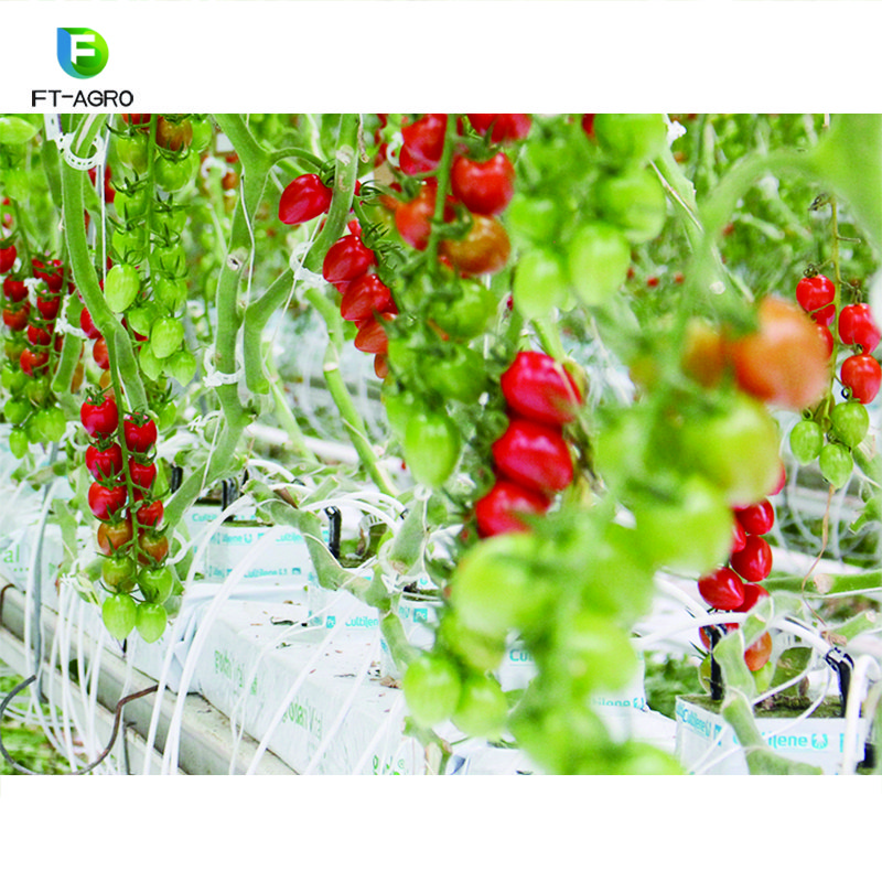 NFT agricultural farming equipment hydroponic greenhouse systems