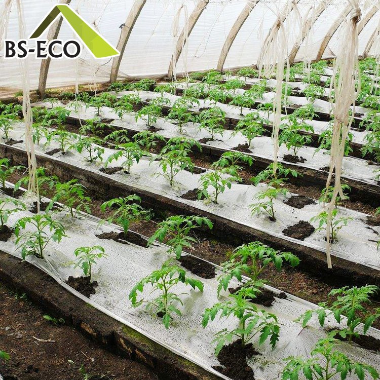 NFT agricultural farming equipment hydroponic greenhouse systems