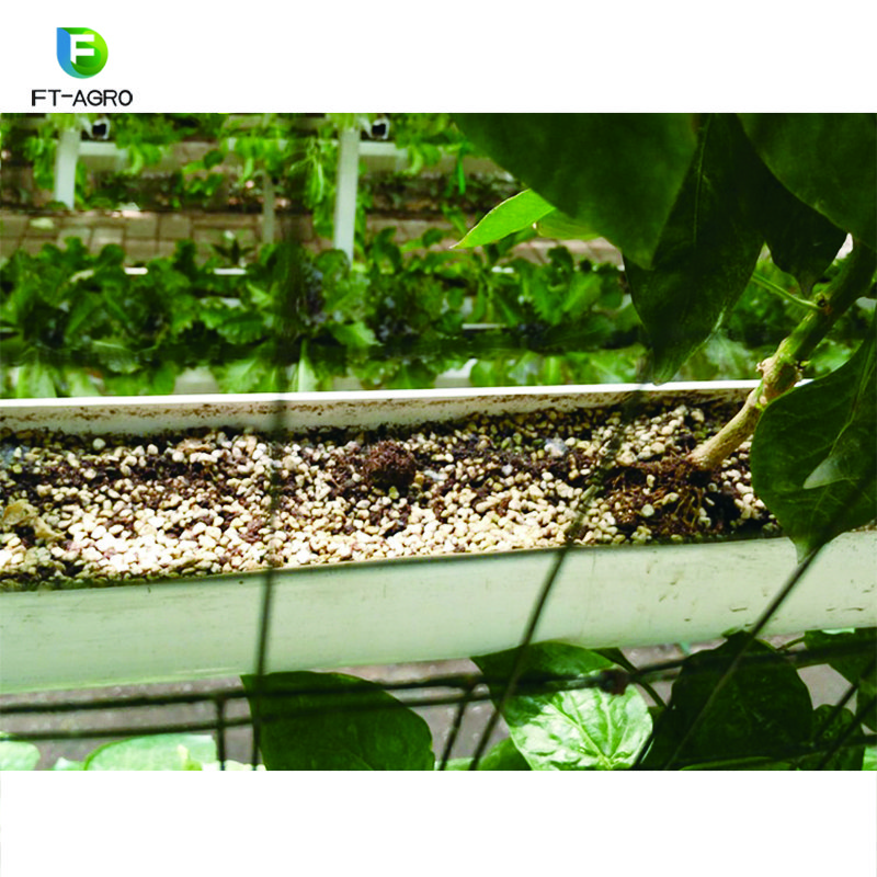 NFT agricultural farming equipment hydroponic greenhouse systems